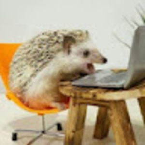 Meet your Posher, Kiran